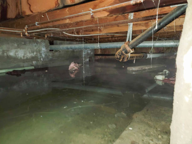  Laverne, OK Water damage restoration Pros