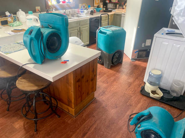 Best Water damage restoration near me  in Laverne, OK