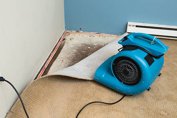 Best Sewage cleanup and water damage restoration  in Laverne, OK